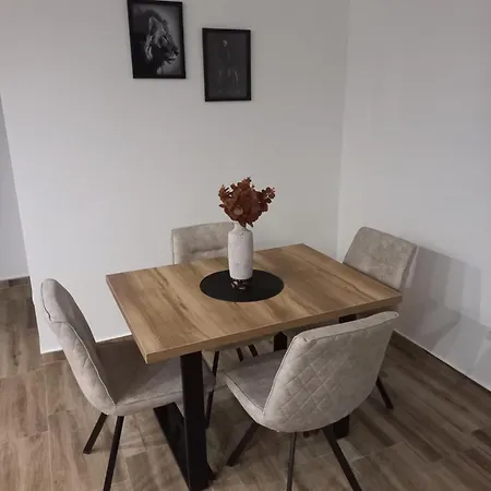 Apartment Lenka *